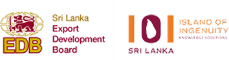 web design company sri lanka