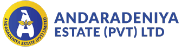 digital marketing companies in sri lanka